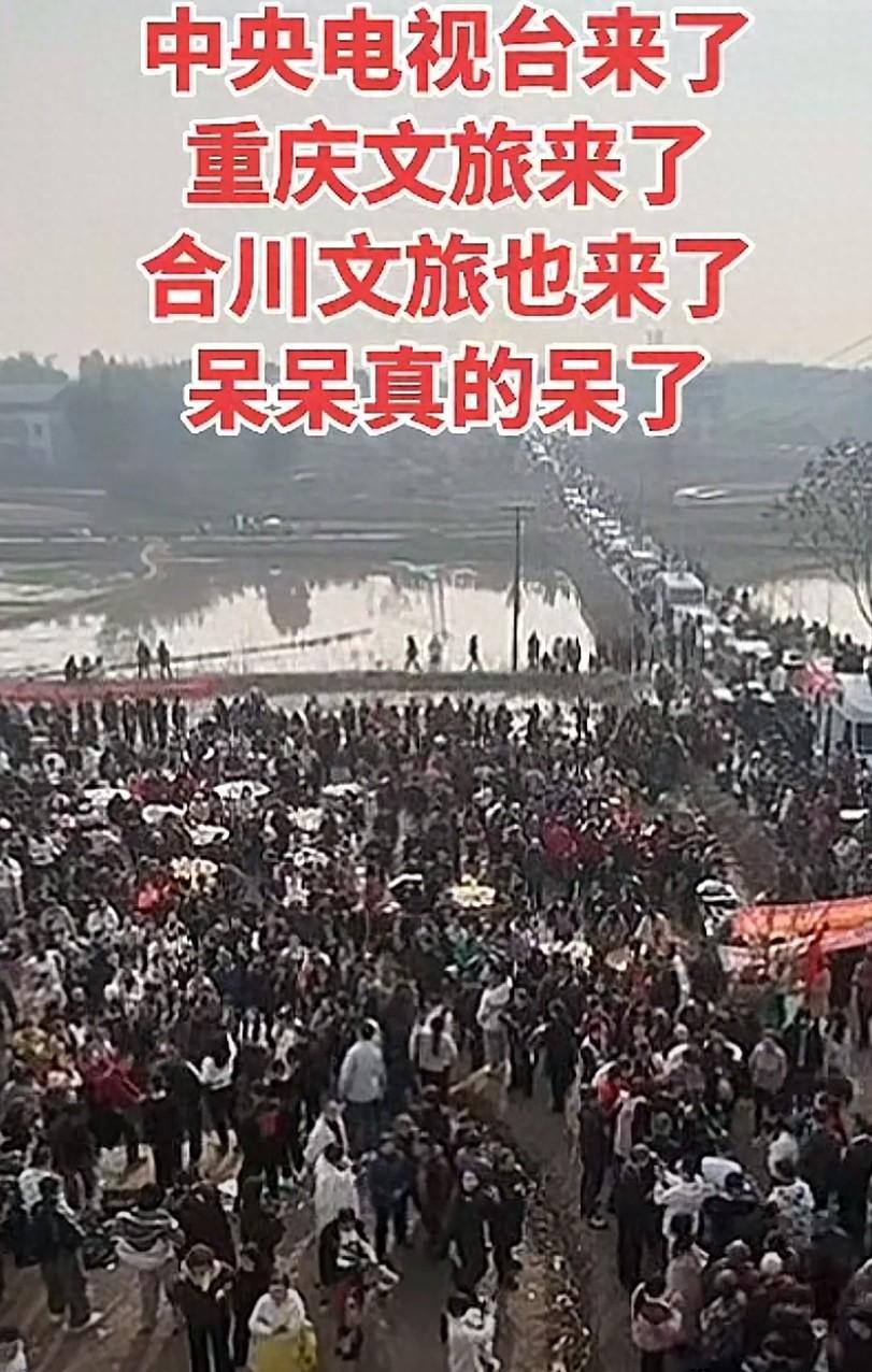 mk体育官网-央视车被堵外面，人民日报下场，白衬衫守护，呆呆成为历史第一人